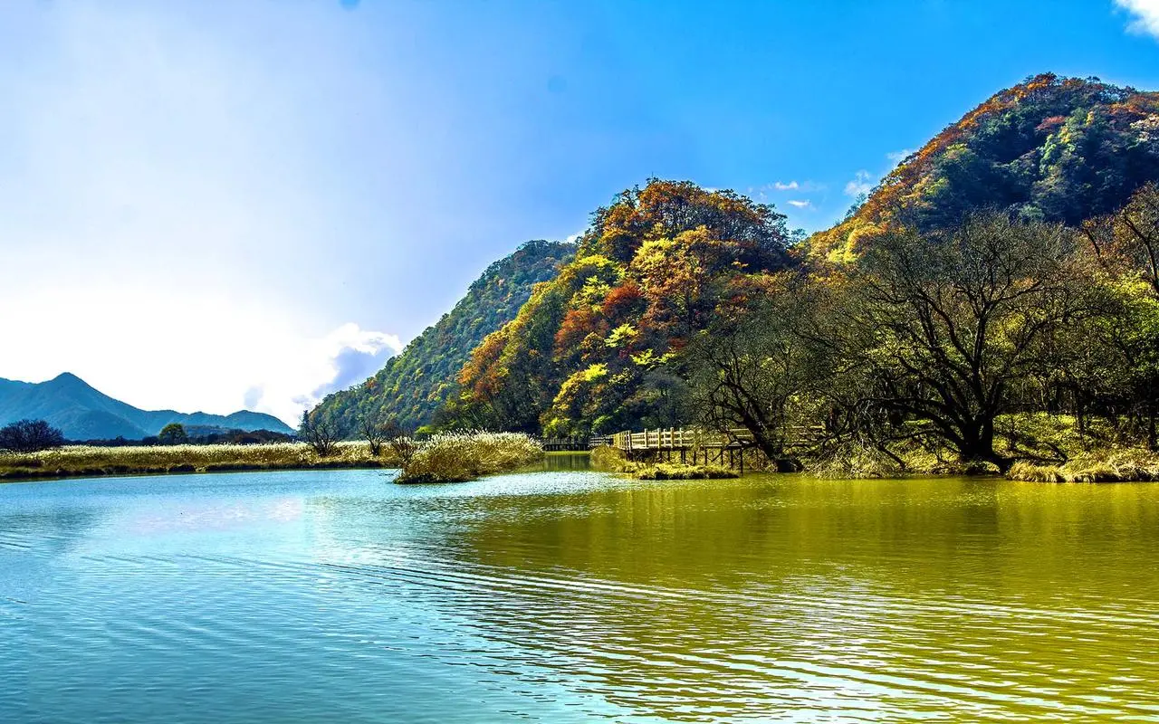 创新电子高质量